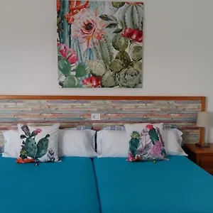 estudio-la-calzada.in-canary-islands.com/